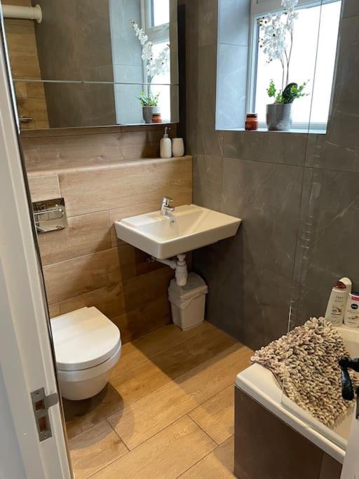 Graftonbury Court, Grafton Lane, Hereford, Hr2 8Fa Екстериор снимка